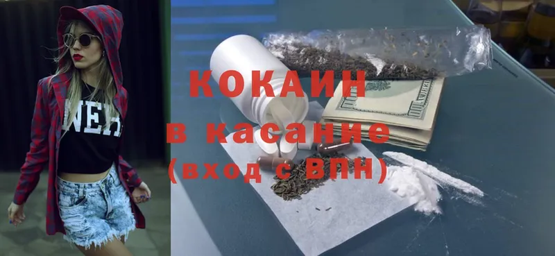 где купить   Западная Двина  Cocaine Эквадор 